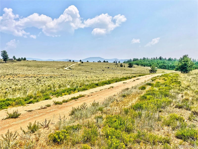 887 Superstition Trl, Hartsel, CO 80449