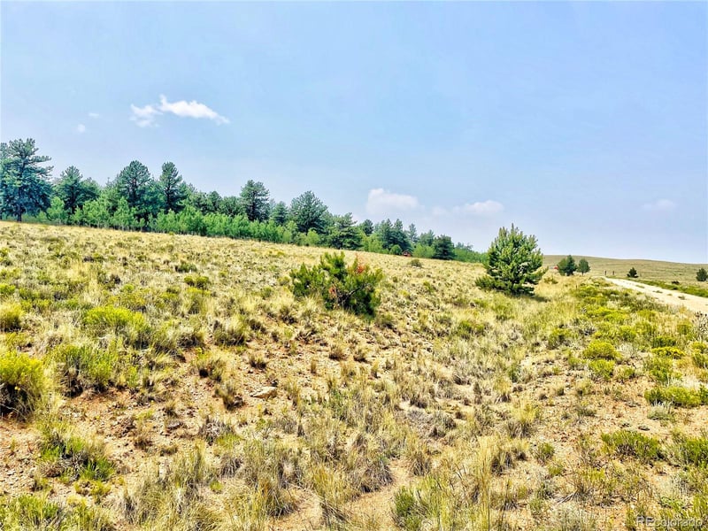 887 Superstition Trl, Hartsel, CO 80449