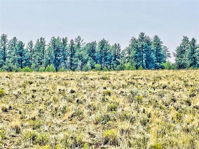 887 Superstition Trl, Hartsel, CO 80449