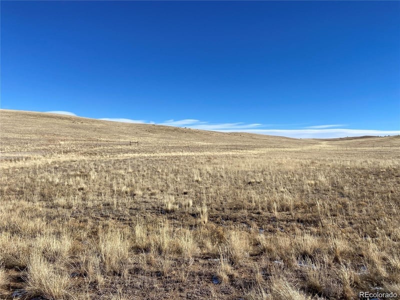 92 Sioux Rd, Hartsel, CO 80449