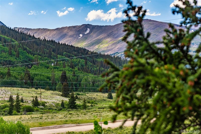 1772 Cr 4, Alma, CO 80420