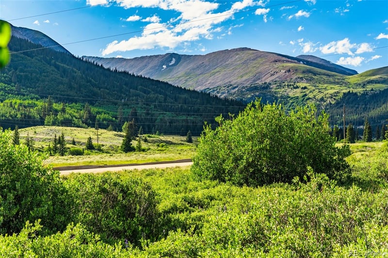1772 Cr 4, Alma, CO 80420