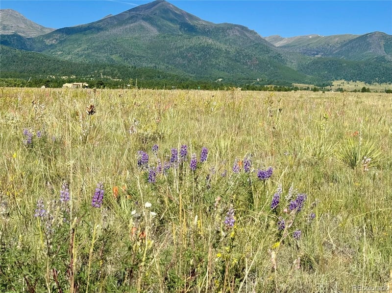 5151 County Road 160, Westcliffe, CO 81252