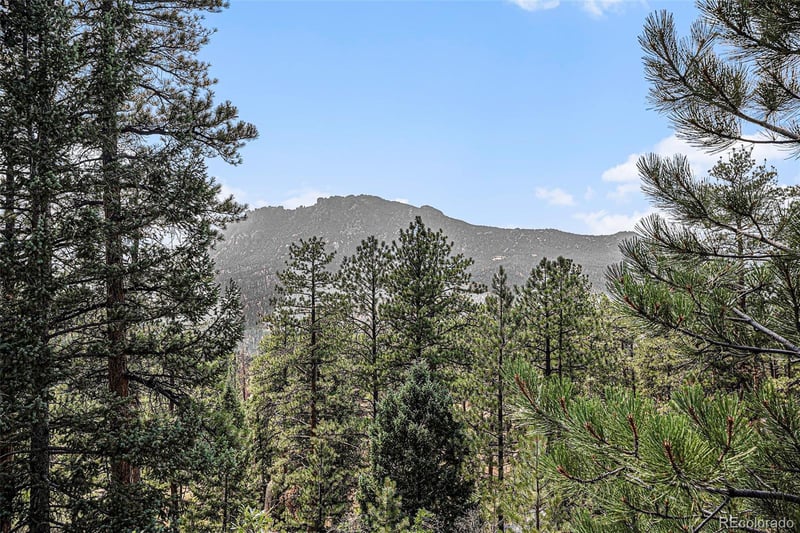 14217 Nighthawk Pl, Sedalia, CO 80135