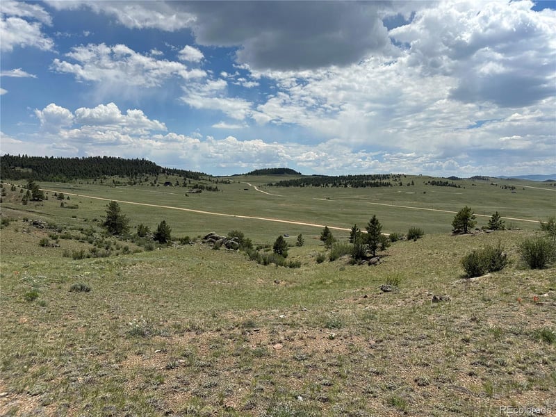 000 Woroka Trl, Hartsel, CO 80449