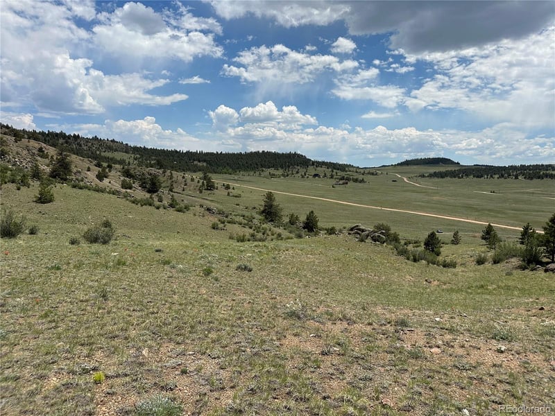 000 Woroka Trl, Hartsel, CO 80449