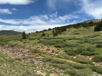 00 Alvin Silver Cave Little Ida, Fairplay, CO 80440