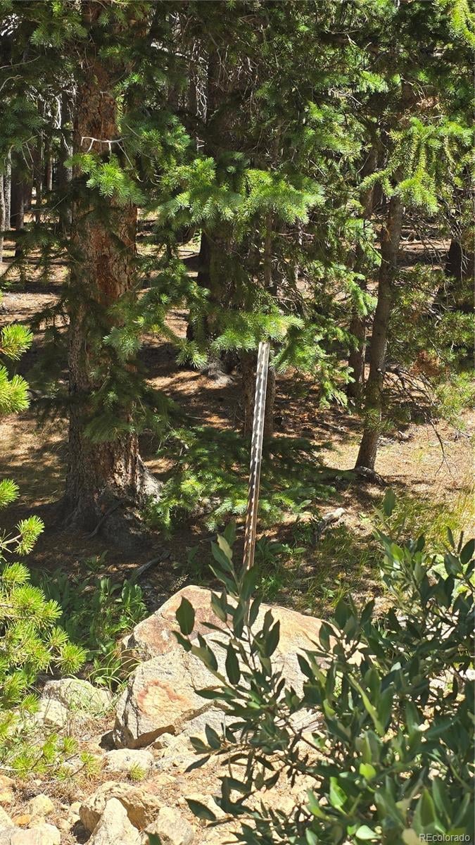 Deer, Idaho Springs, CO 80444