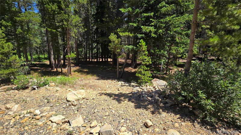 Deer, Idaho Springs, CO 80444