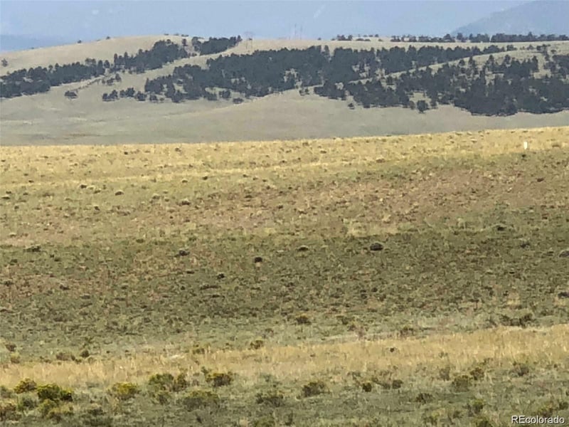 000 Hardwood Loop, Hartsel, CO 80449