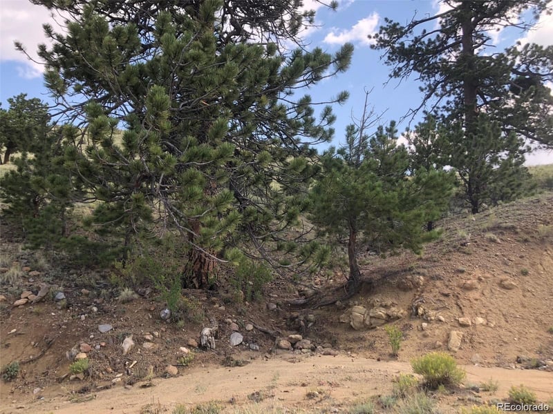 000 Hardwood Loop, Hartsel, CO 80449