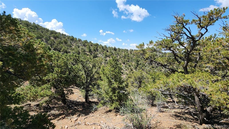 5039 Mamouche Rd, Fort Garland, CO 81133