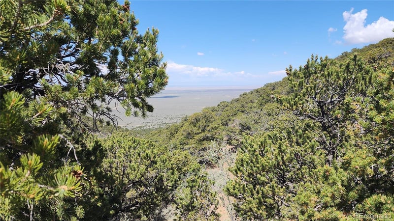 5039 Mamouche Rd, Fort Garland, CO 81133