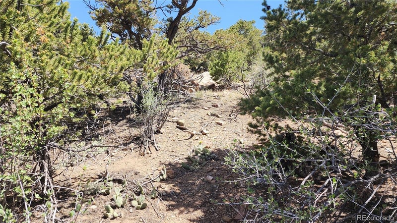 5039 Mamouche Rd, Fort Garland, CO 81133