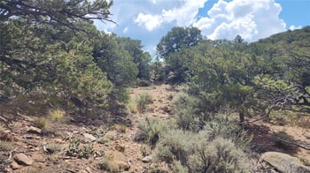 5039 Mamouche Rd, Fort Garland, CO 81133