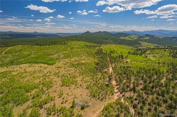 Lot 2 County Road 51, Florissant, CO 80816