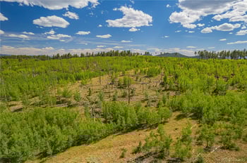 Lot 2 County Road 51, Florissant, CO 80816
