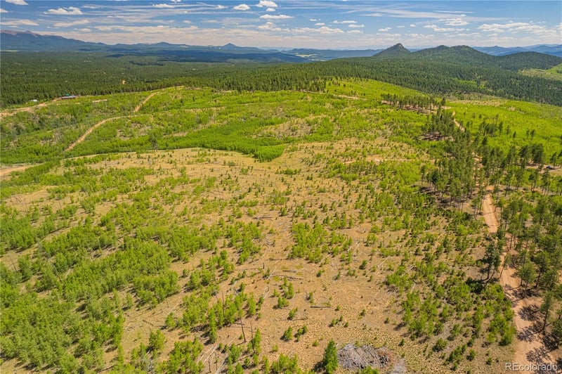 Lot 2 County Road 51, Florissant, CO 80816