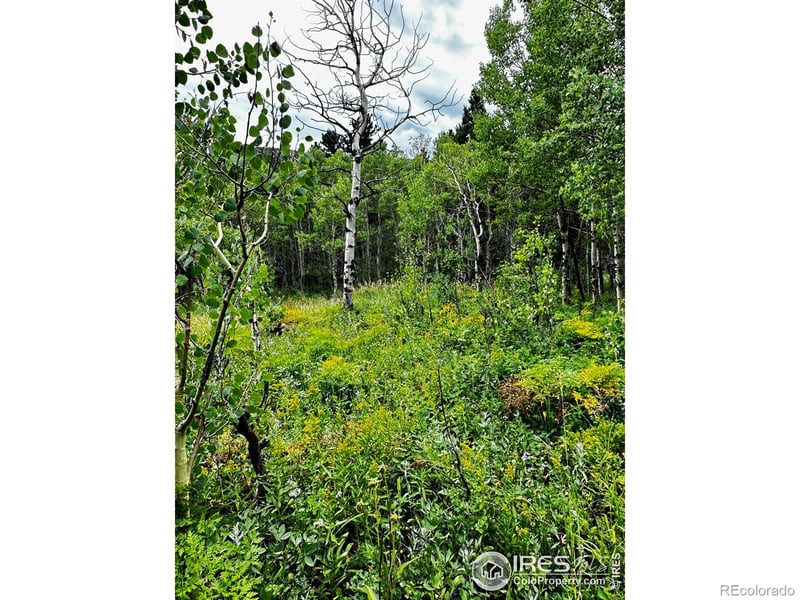 928 Ski Rd, Allenspark, CO 80510