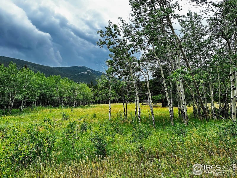 928 Ski Rd, Allenspark, CO 80510