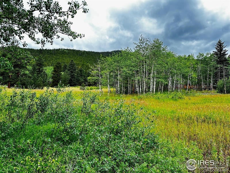 928 Ski Rd, Allenspark, CO 80510