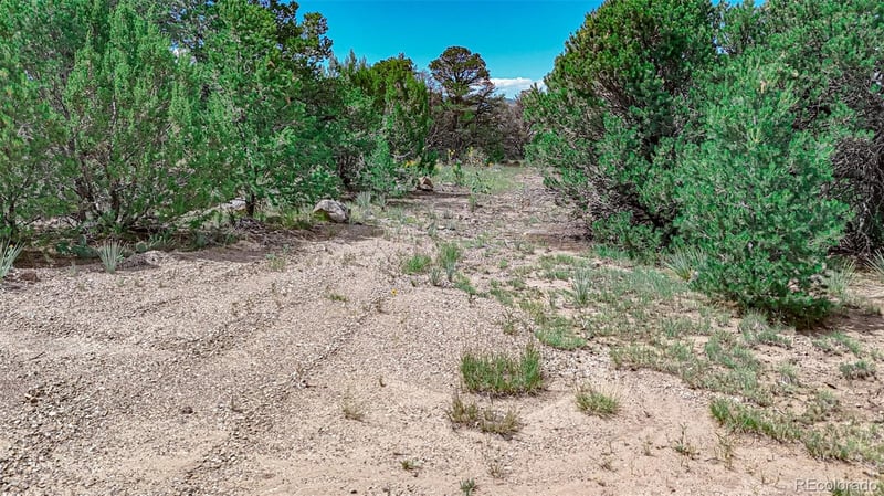 11771 Diamond View Rd, Trinidad, CO 81082