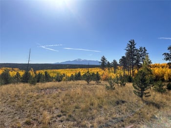 Lot 4 County Road 51, Florissant, CO 80816