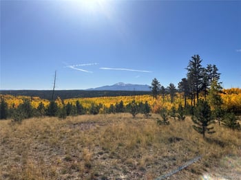 Lot 4 County Road 51, Florissant, CO 80816