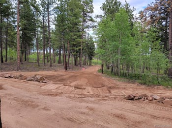 Lot 4 County Road 51, Florissant, CO 80816