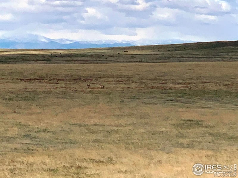 Weld County Road 55, Ault, CO 80610