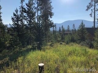 220 Gcr 4571 , Grand Lake, CO 80447