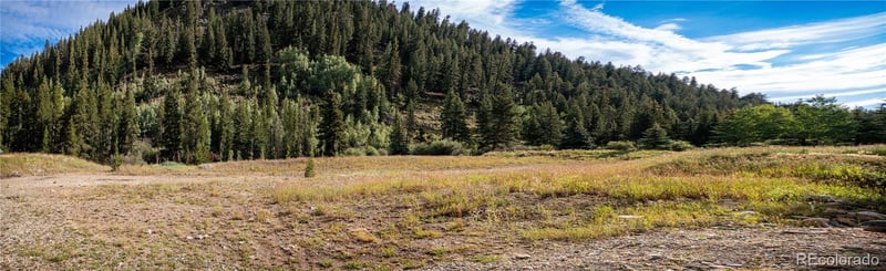 123 Davenport Loop, Breckenridge, CO 80424