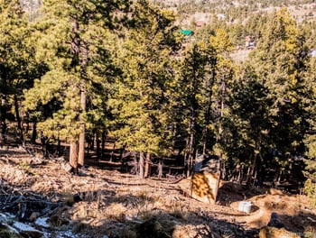 815 Burland Dr, Bailey, CO 80421