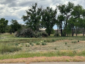 Pine St, Keenesburg, CO 80643