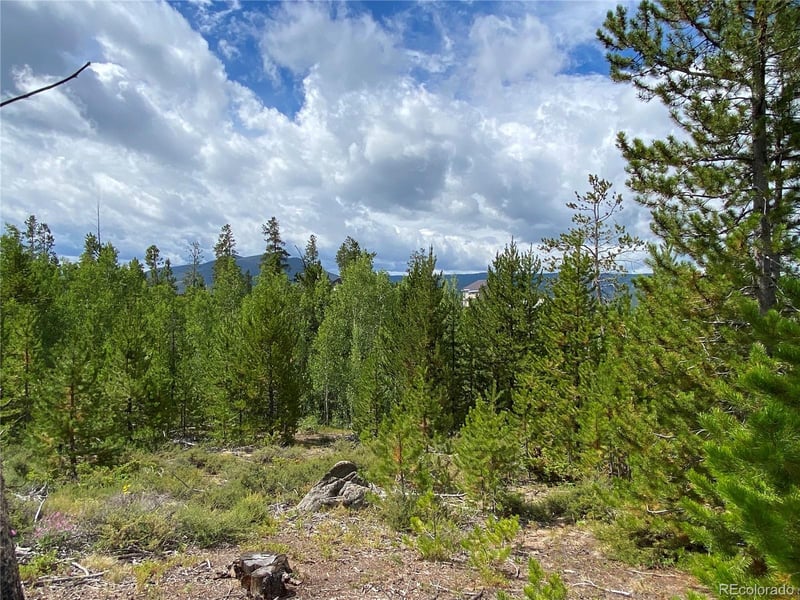 341 Gcr 876/alpine Dr, Tabernash, CO 80478