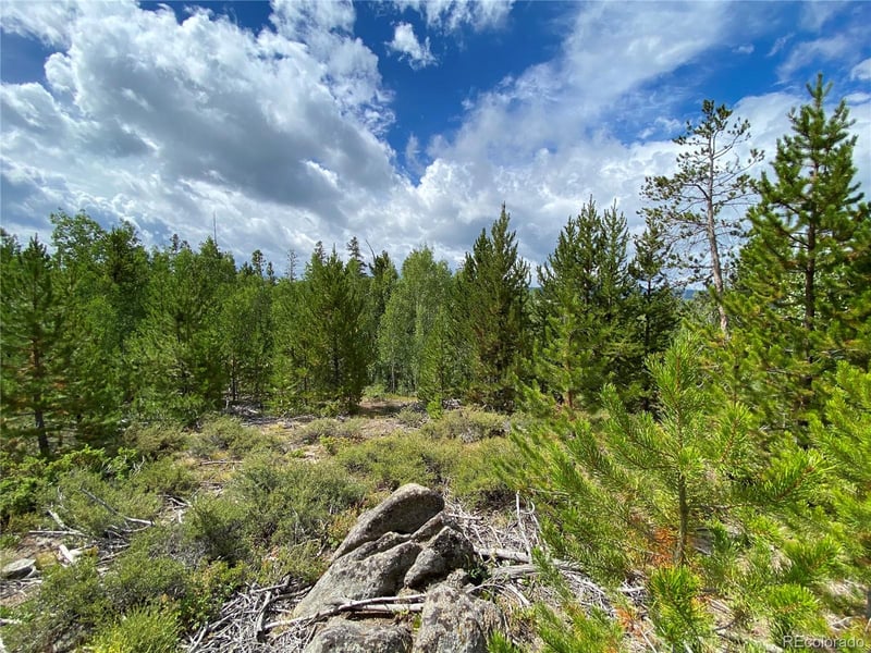 341 Gcr 876/alpine Dr, Tabernash, CO 80478