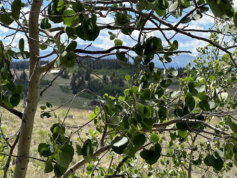098 Wabeno Ct, Jefferson, CO 80456