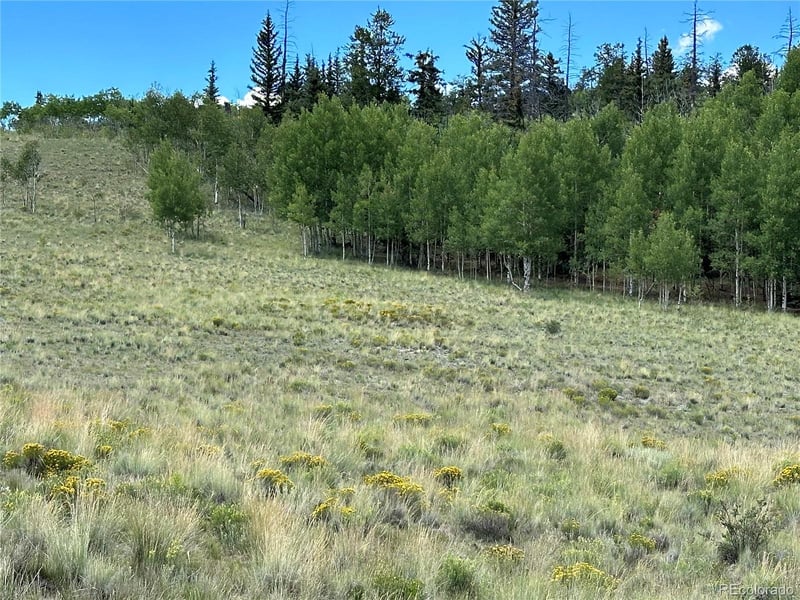 098 Wabeno Ct, Jefferson, CO 80456