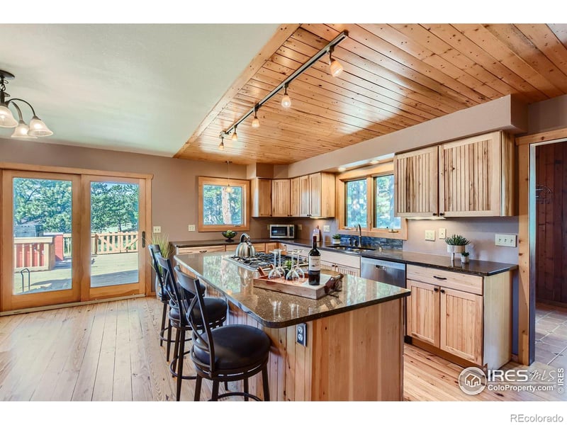 113 Bramer Rd, Ward, CO 80481