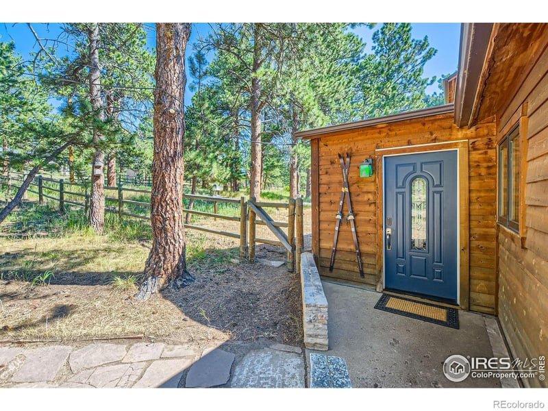 113 Bramer Rd, Ward, CO 80481