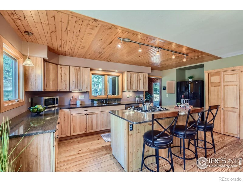 113 Bramer Rd, Ward, CO 80481