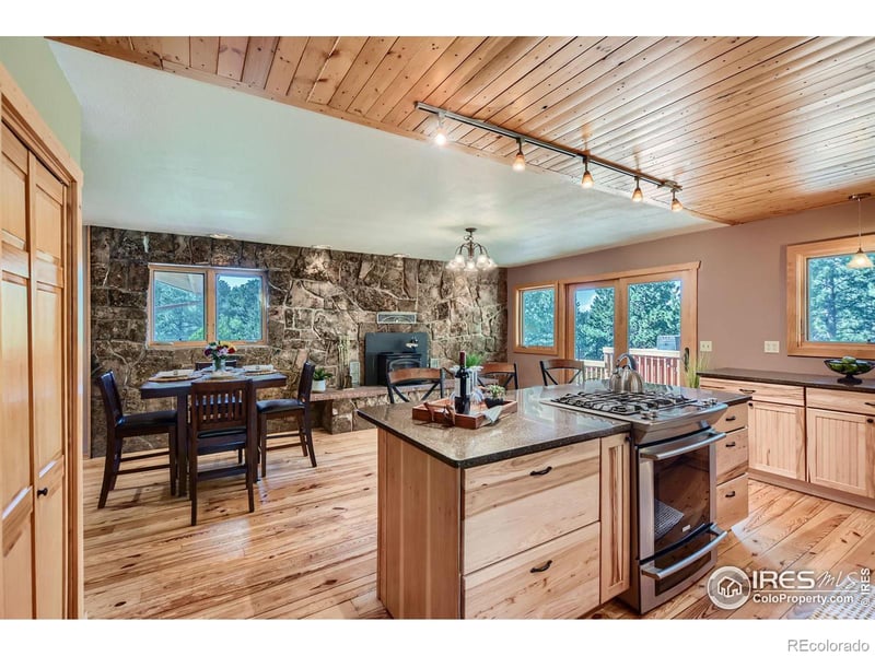 113 Bramer Rd, Ward, CO 80481