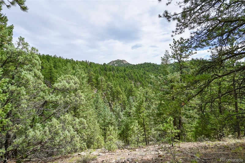 374 Spruce Dr, Lyons, CO 80540