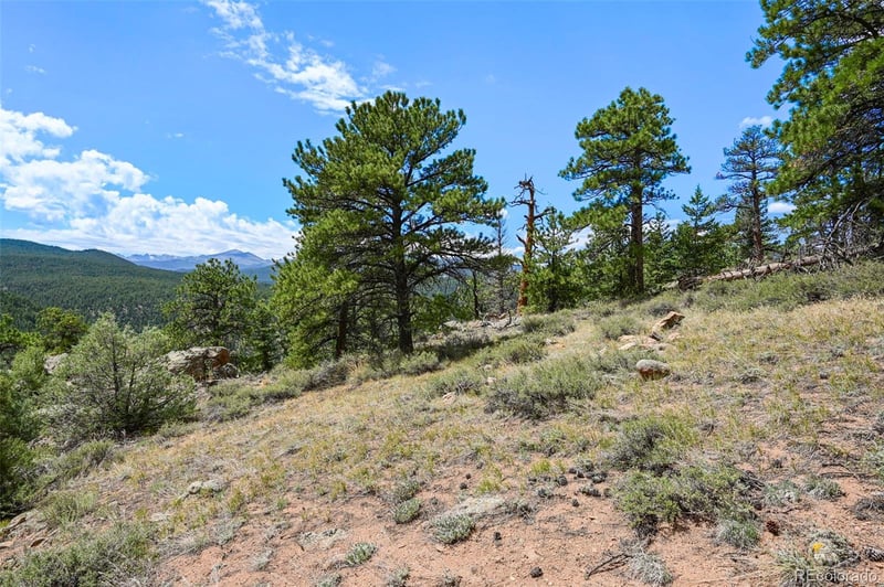 374 Spruce Dr, Lyons, CO 80540