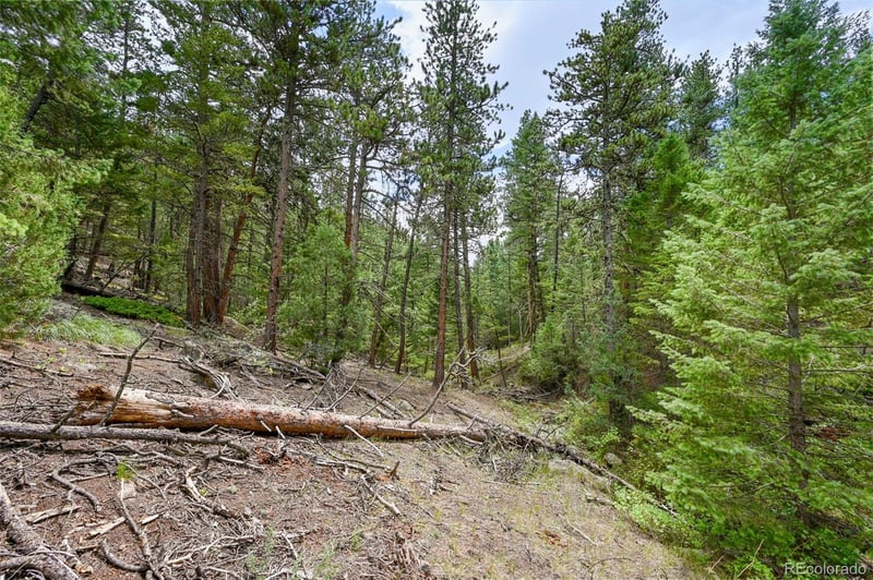 374 Spruce Dr, Lyons, CO 80540