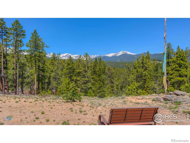 410 Pine Cone Dr, Ward, CO 80481