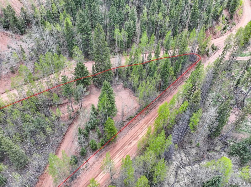 416 Willow Rd, Divide, CO 80814