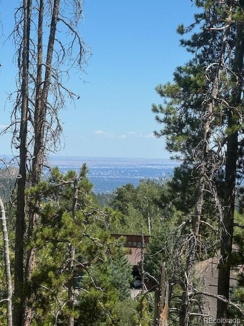 20258 Range View Dr, Morrison, CO 80465