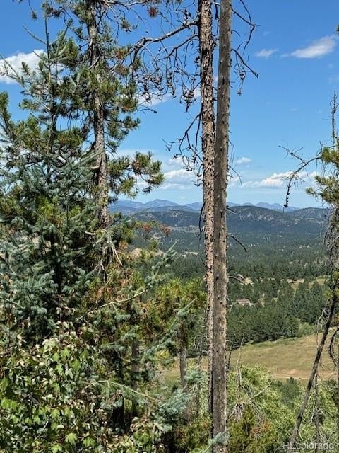 20258 Range View Dr, Morrison, CO 80465