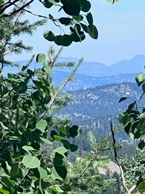 20258 Range View Dr, Morrison, CO 80465